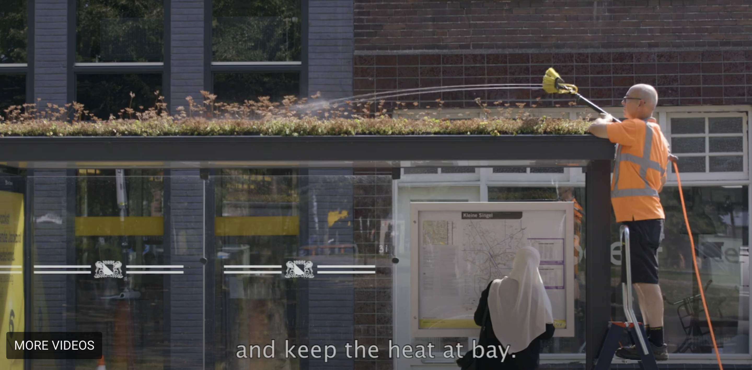 A greener bus stop: How the Utrecht green roof bus stop project helped pioneer sustainable public transit infrastructure.